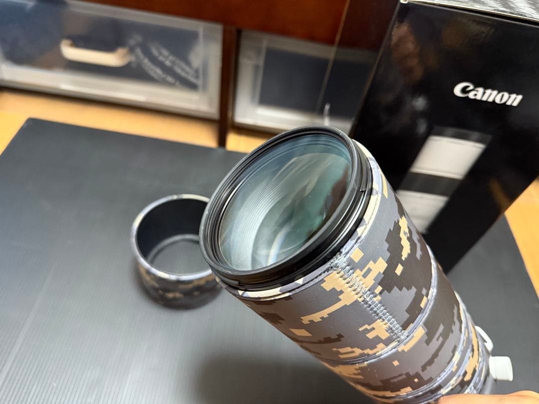 レンズ(ズーム) Canon RF 200-800 F6.3-9 IS USM