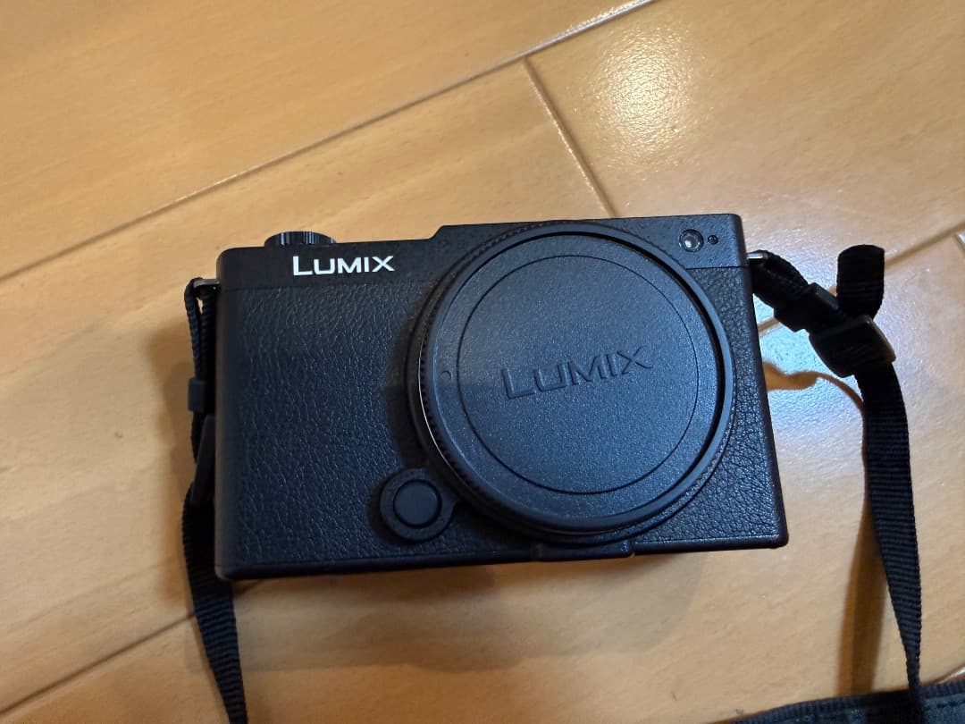 【良美品】LUMIX S9 標準ズームレンズキット 20-60mm｜付属品完備