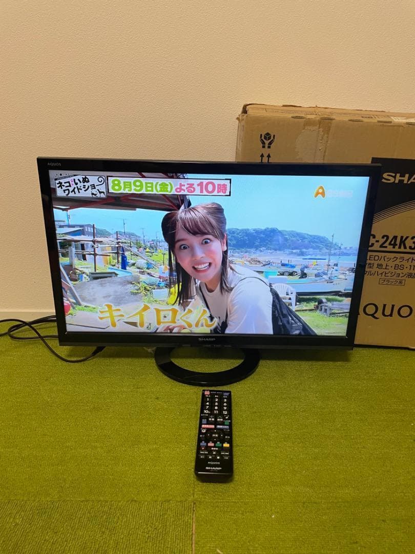 ハヤシ 液晶テレビ 24V型 LC-24K30 外付けHDD対応