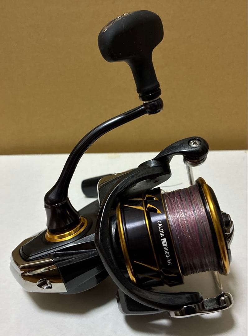 リール DAIWA 21CALDIA LT3000-XH