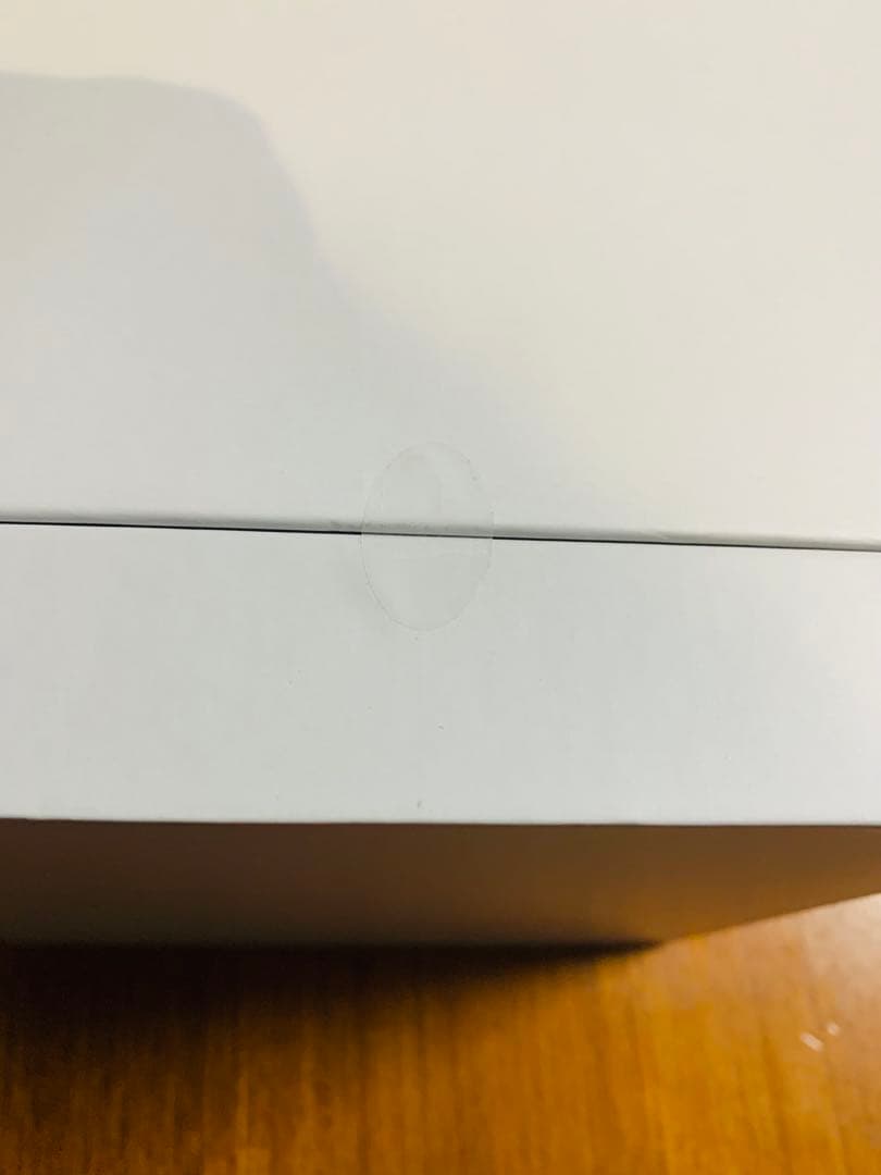 【新品】SALONIA PURE BRIGHTSTEAMER