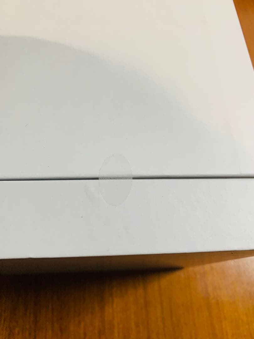 【新品】SALONIA PURE BRIGHTSTEAMER