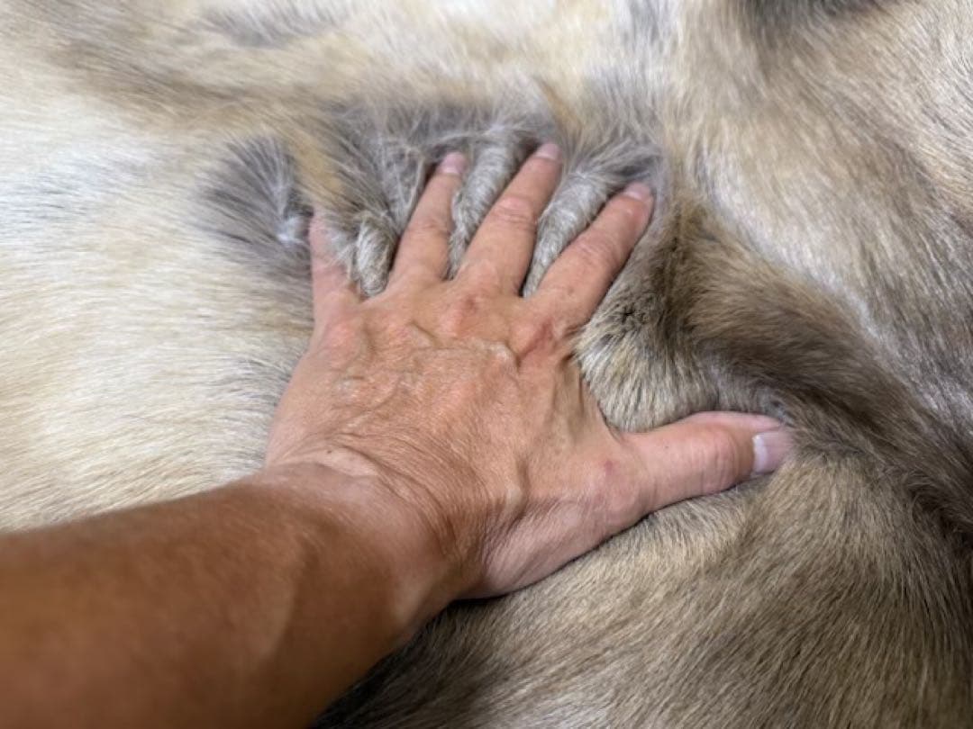 ダーラム トナカイファー Lサイズ