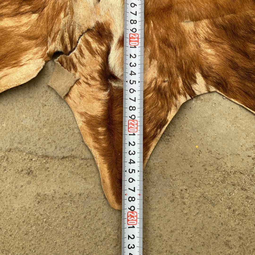 コ*中様 一頭分 牛革 本革 毛皮ラグ ハラコ カウラグ 約230×170cm
