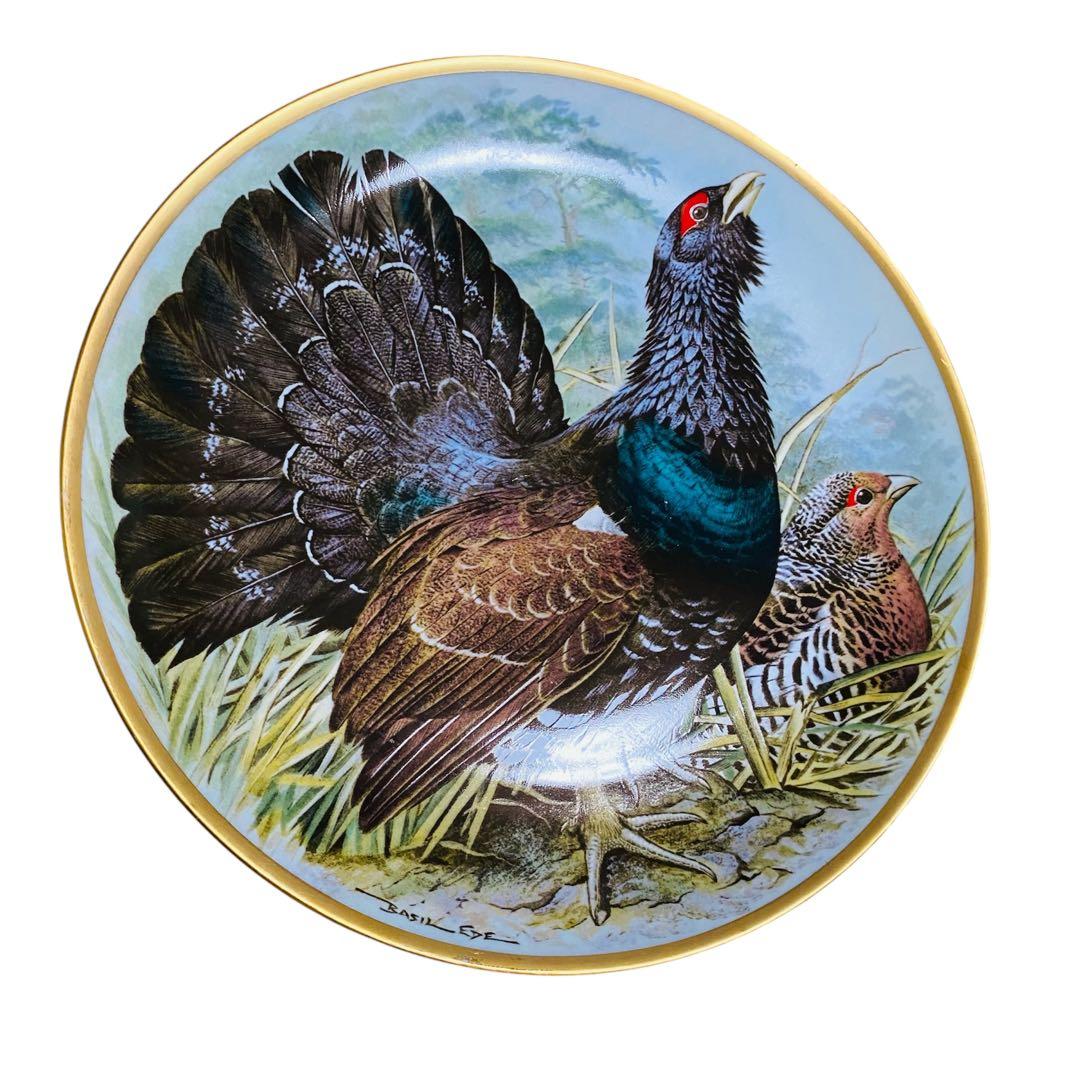 野鳥絵皿　フランス　リモージュ　フランクリンポーセリン　12枚