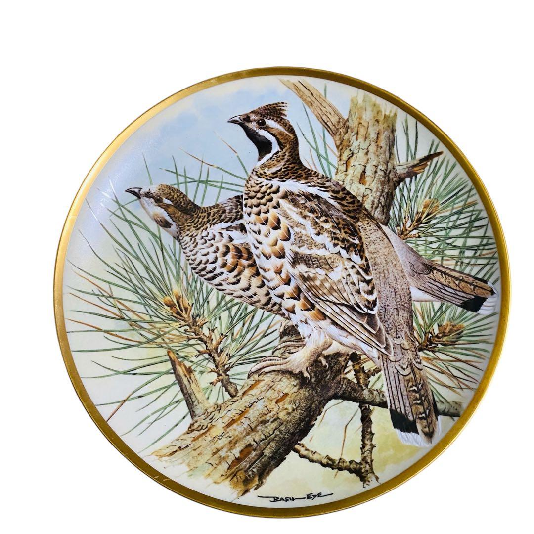 野鳥絵皿　フランス　リモージュ　フランクリンポーセリン　12枚