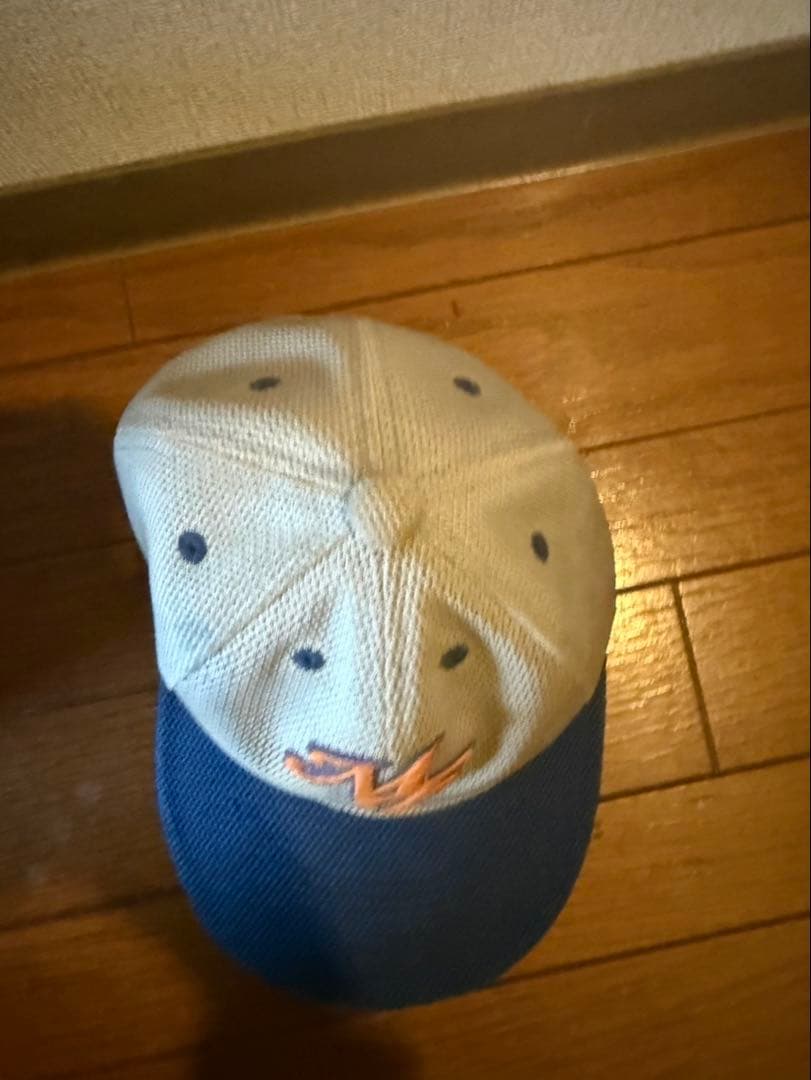 盛岡大附　盛附　盛岡大附属　練習帽子