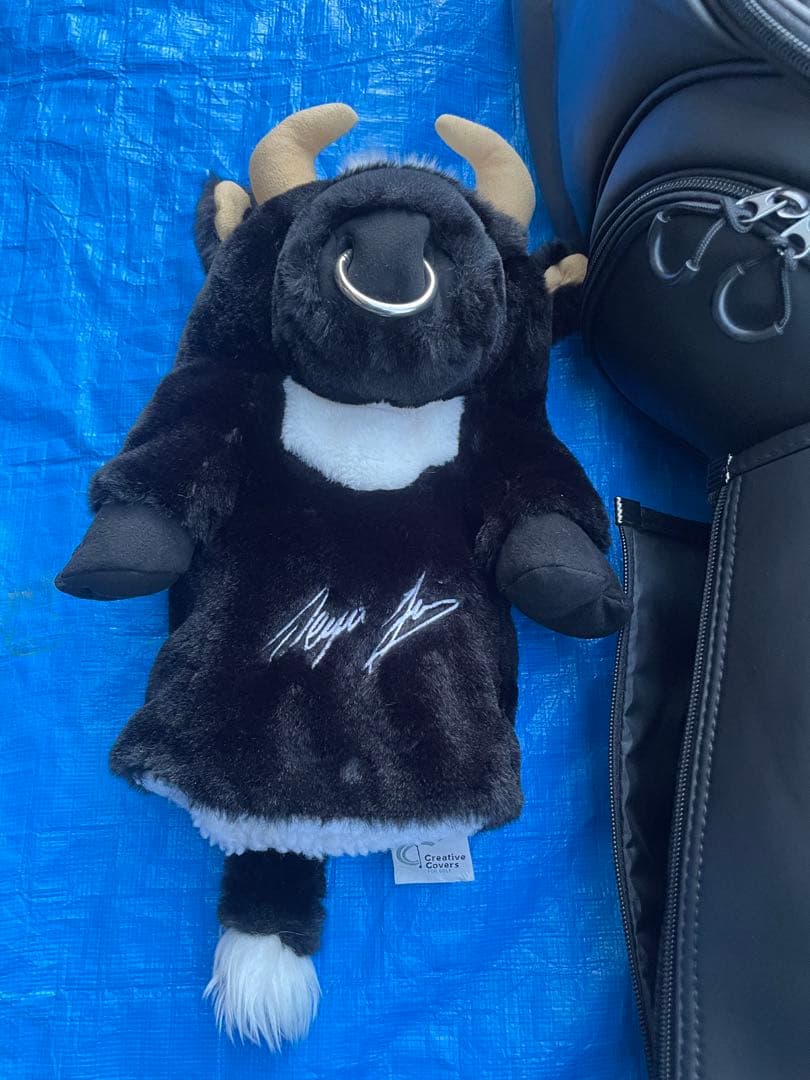 デサント　キャディバッグ