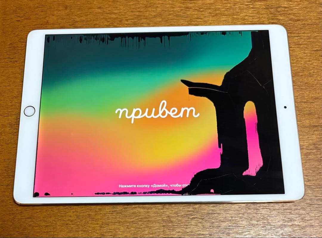【ジャンク・動作OK】iPad Pro 10.5 64GB 本体＋カバー液晶漏れ