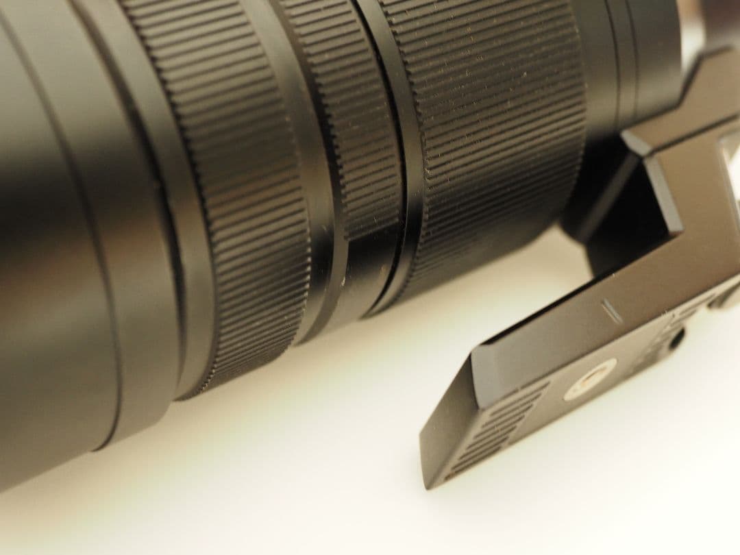 ジ*ク様 パナソニック LUMIX LEICA DG 100-400mm F4.