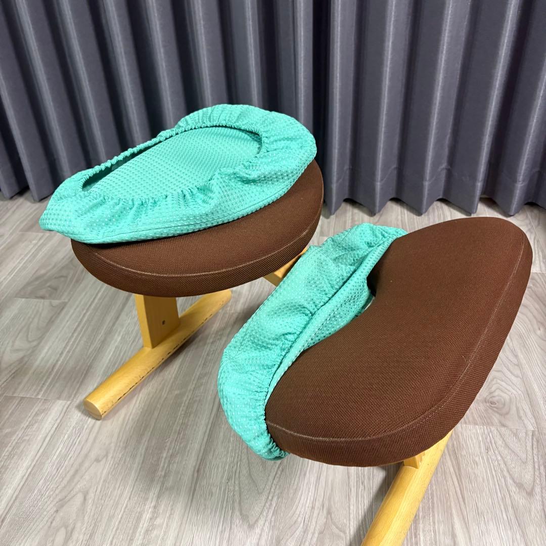 Balans Easy バランスチェア　サカモトハウス 水色　カバー付