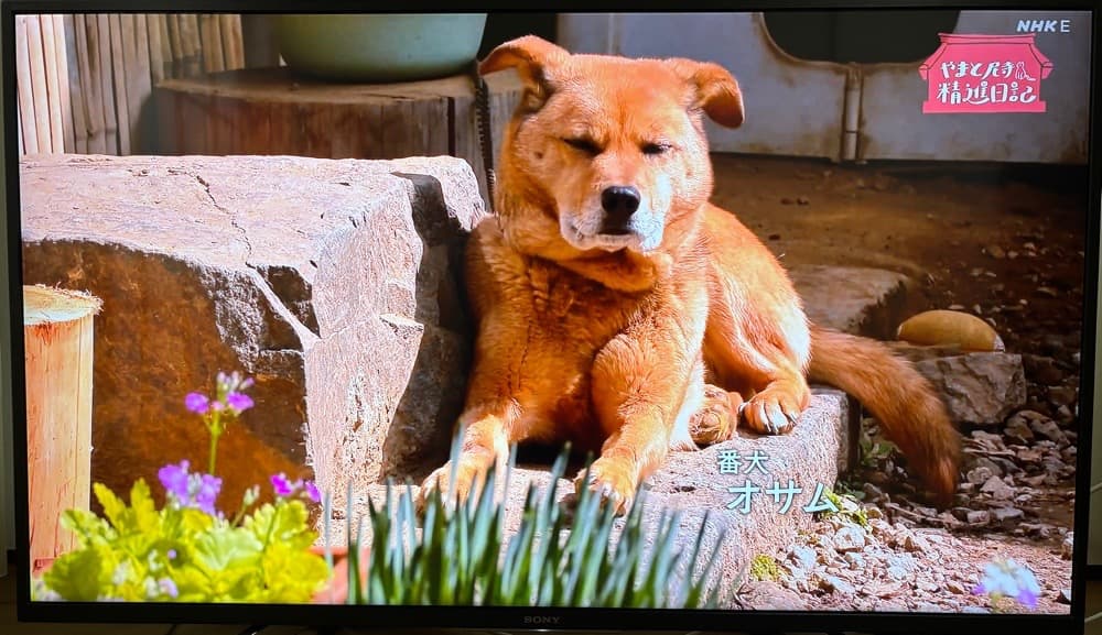 SONY 43X7500F　４K液晶テレビ　美品・完動品　2018年製