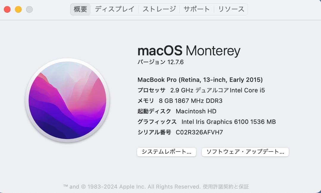 【la pomme】MacBook Pro 13inch Early 20