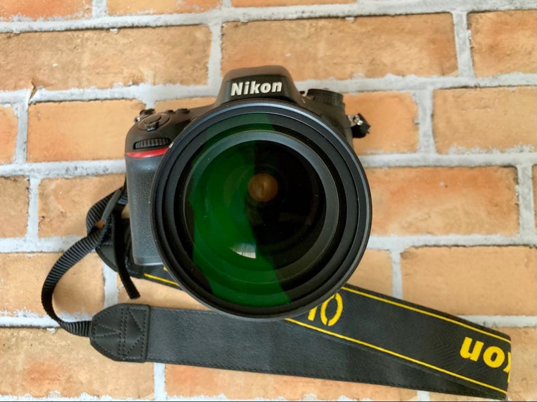 Nikon D610 純正ズームレンズ付き