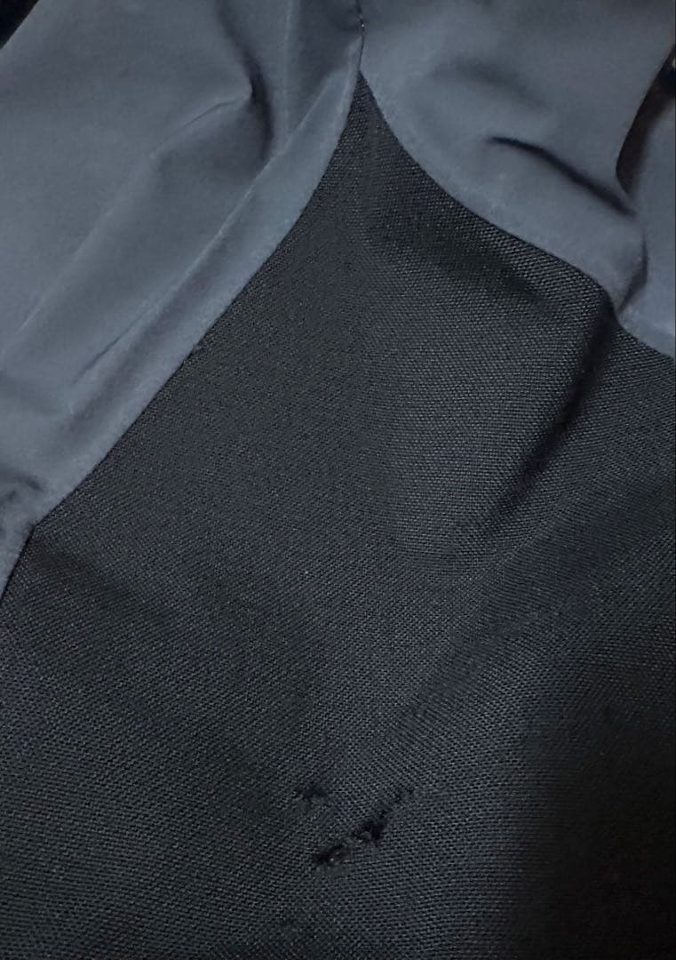 Phenix スキーウェア 上下Lサイズ