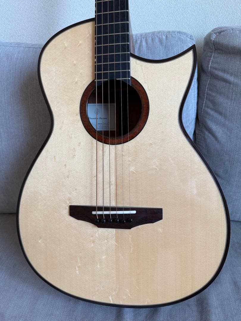 (ほぼ新品) 平光ギター 2024