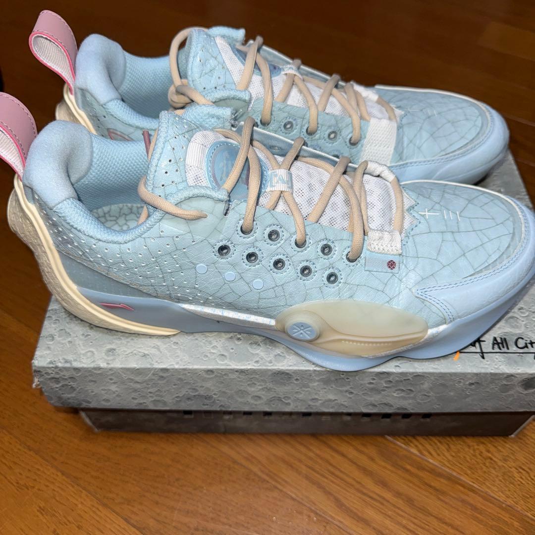 バッシュ　wade all city #13 アイスチップス