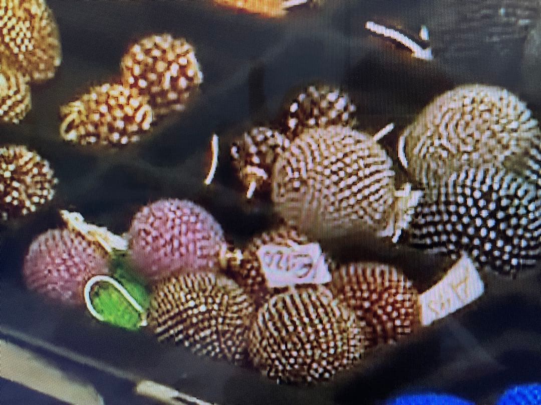 アンティークネックレス　ヨーロッパ骨董