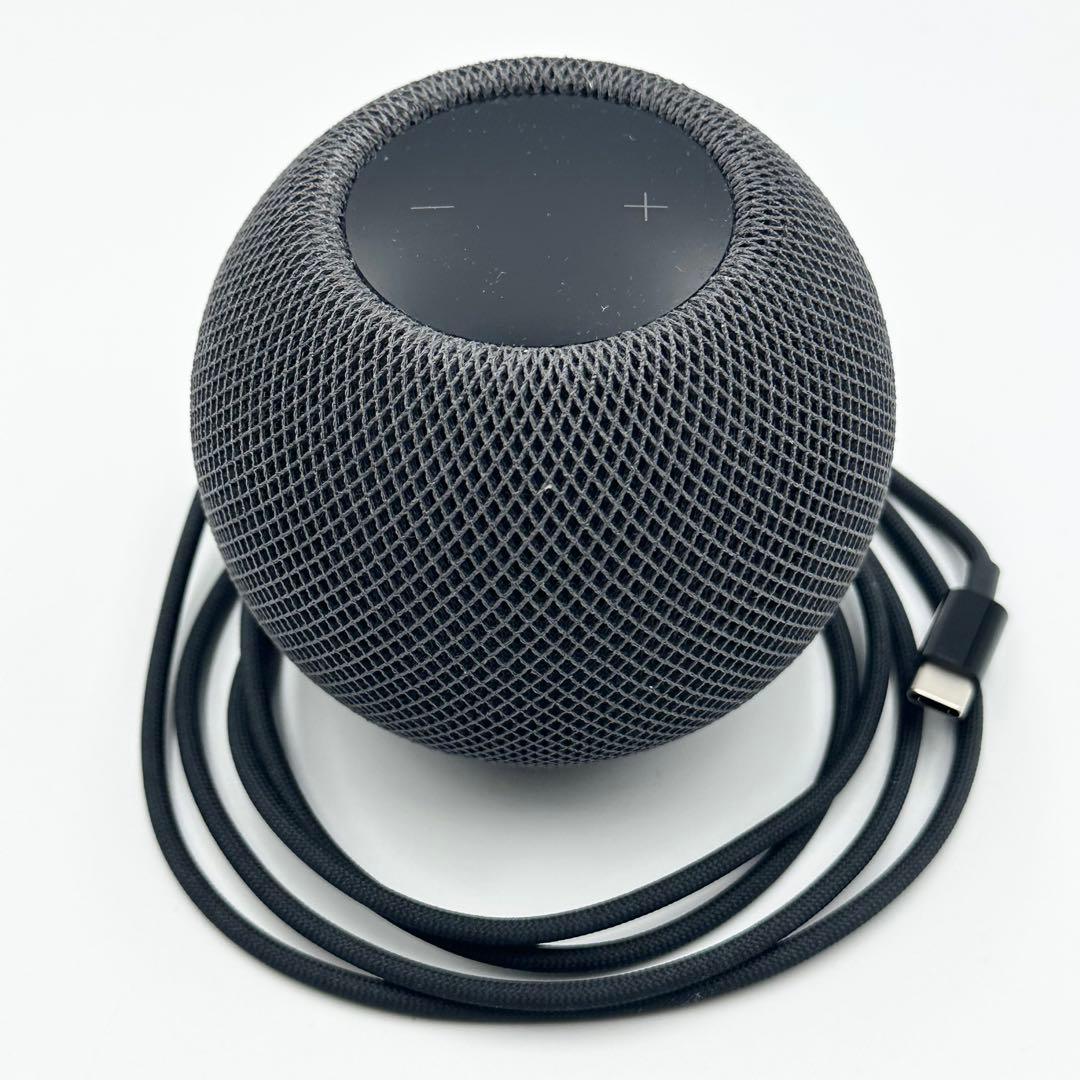 Apple Pod mini スペースグレイ MY5G2J/A