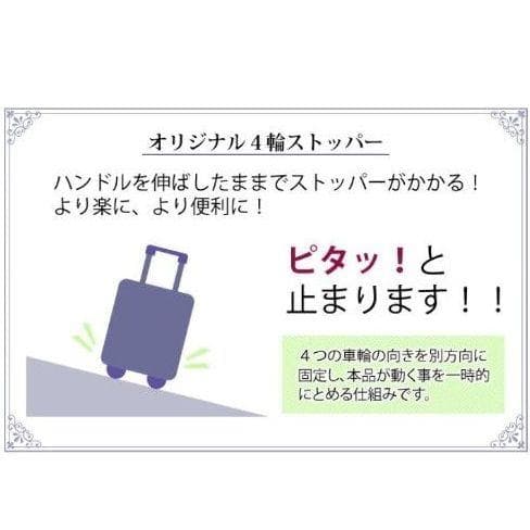 スワニー 4輪キャスター 機内持ち込み エンブレモD-608 グレー 極美品