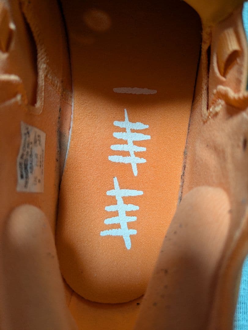 Way of Wade 11 US9 27.0cm美中古「日なたの州」