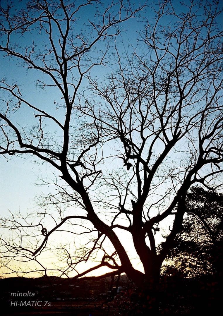 ★超美品＊完動品＊初期保証★minolta himatic 7s