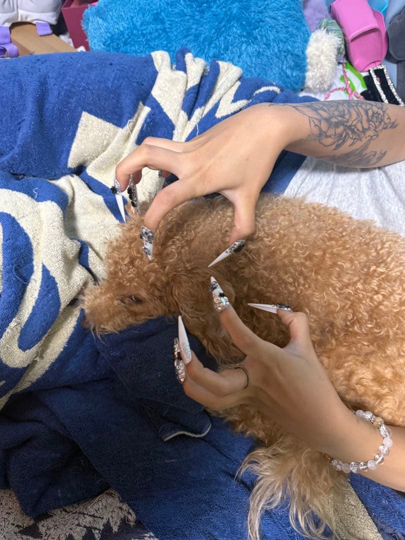 iPhone16 最終値下げ？