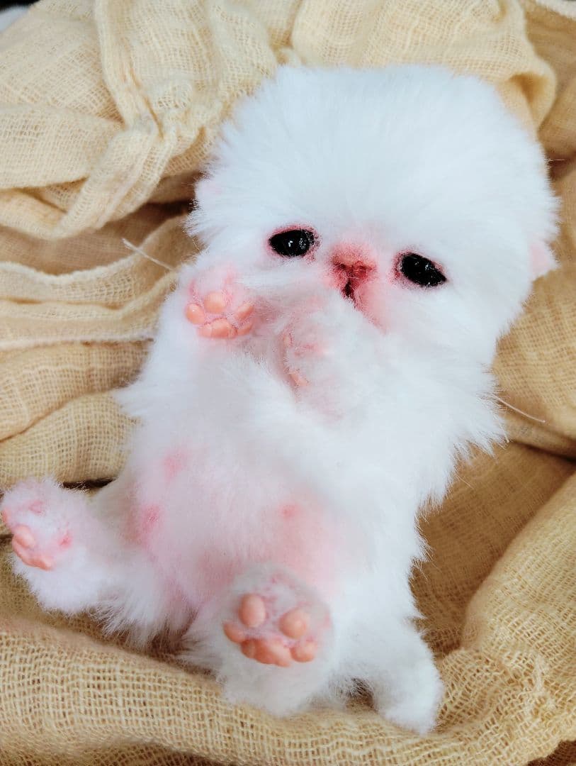 むぎゅサイズ♡お腹ぽっこり♡赤ちゃん子猫のピポちゃん♡アートドール♡ぬいぐるみ♡