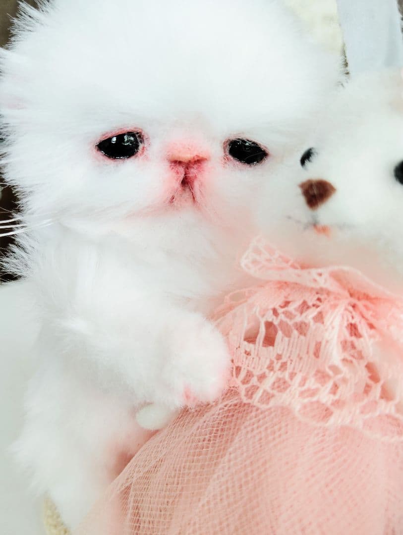 むぎゅサイズ♡お腹ぽっこり♡赤ちゃん子猫のピポちゃん♡アートドール♡ぬいぐるみ♡