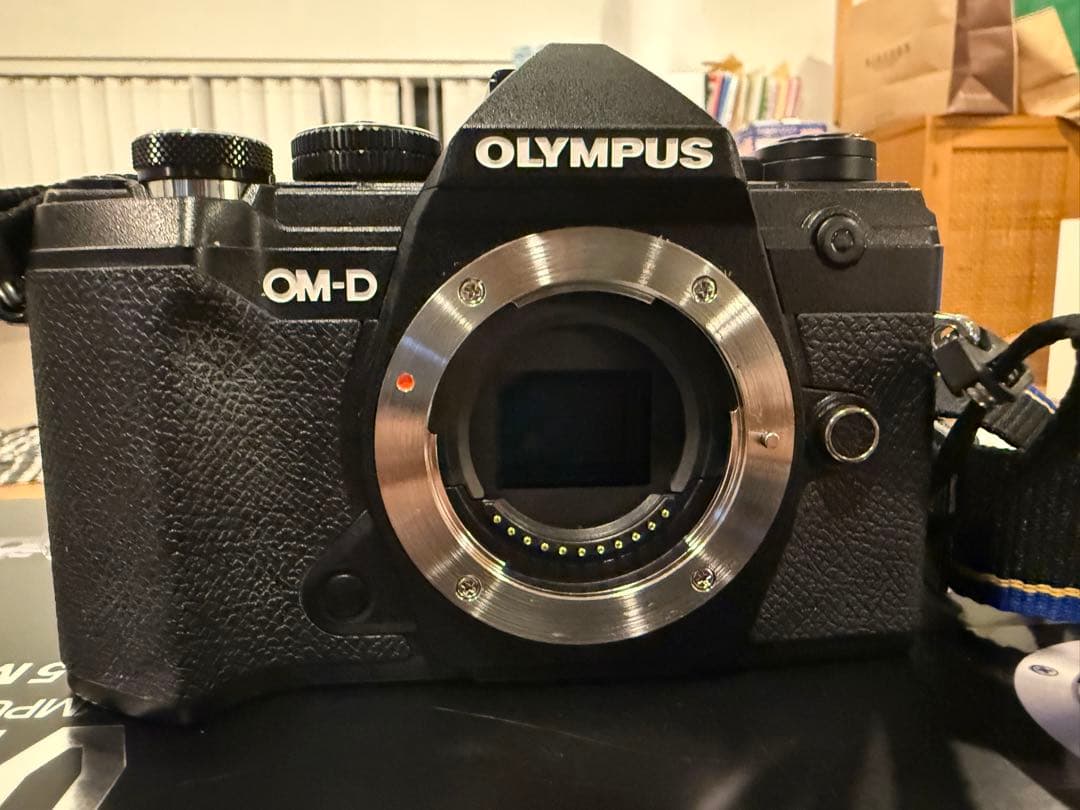 オリンパス　OLYMPUS OM-D E-M5 Mark III 美品 ボディ