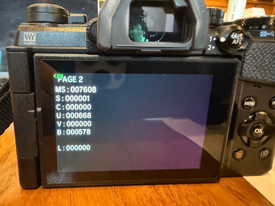 オリンパス　OLYMPUS OM-D E-M5 Mark III 美品 ボディ