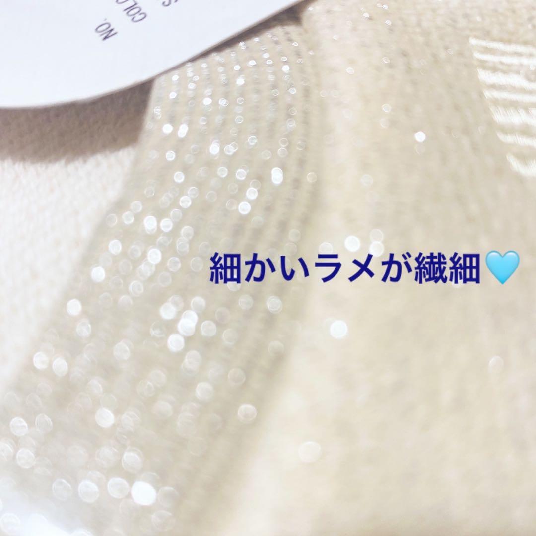 新品未開封　ダーリッチ darich カラーラメスウェットオーバートップス　F