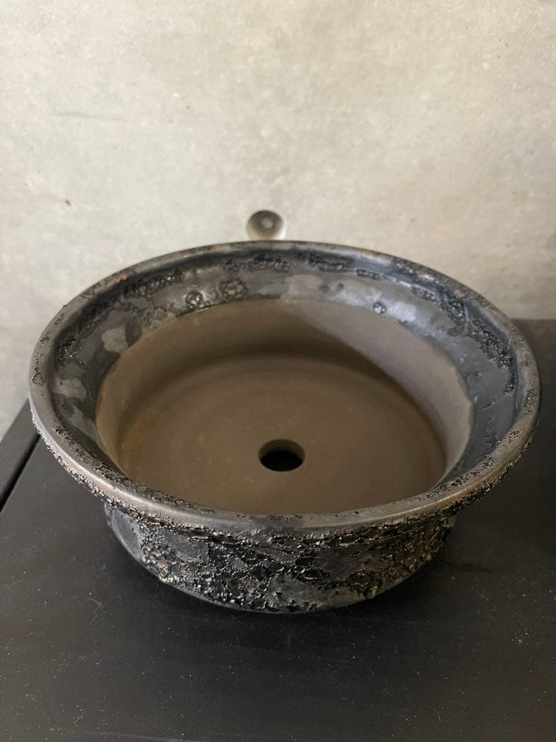 中川智治　植木鉢　大鉢　作家鉢