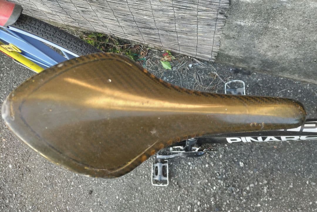 フィジーク アリオネ カーボン