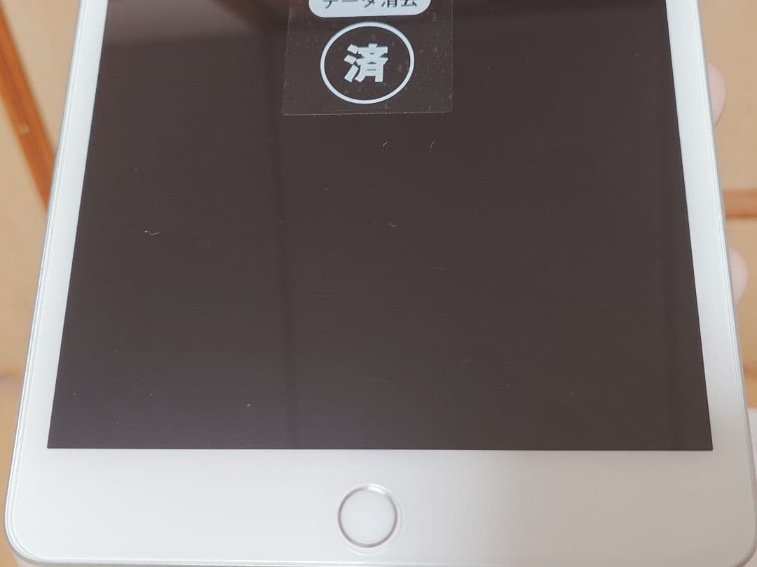 iPad mini 第5世代 64GB SIMフリー A2124 電池93％