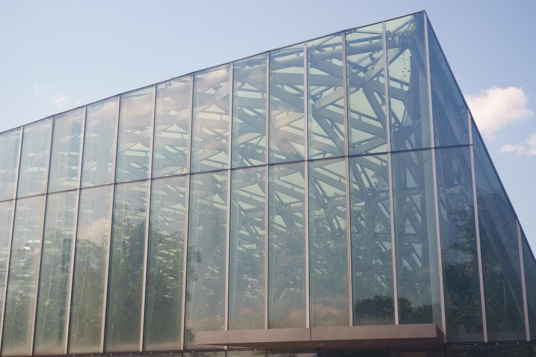 格安出品！名玉の現行型！Leica Summicron 50mm F2 4th