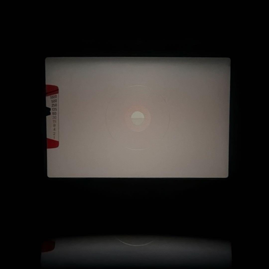 Nikon EM ストラップ付 動作確認済/モルト/露出計◎