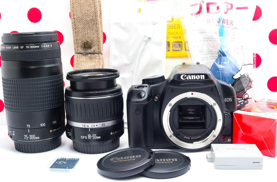 Canon EOS Kiss X2❤超望遠ダブルレンズ❤スマホに転送❤初心者安心