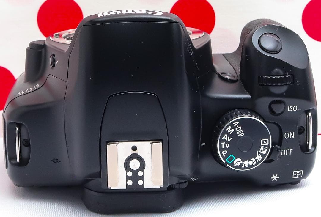 Canon EOS Kiss X2❤超望遠ダブルレンズ❤スマホに転送❤初心者安心