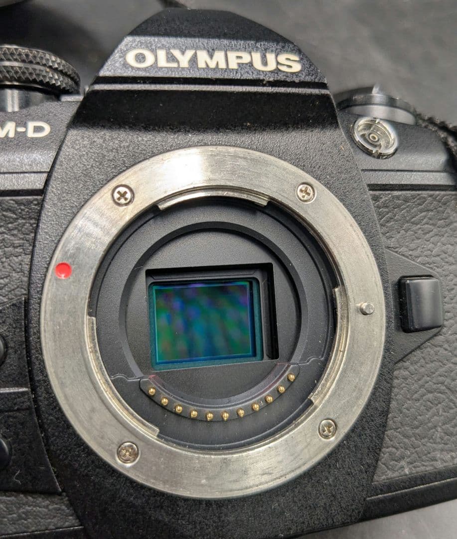 涛 刘 オリンパス OLYMPUS OM-D E-M1II 12-40mm