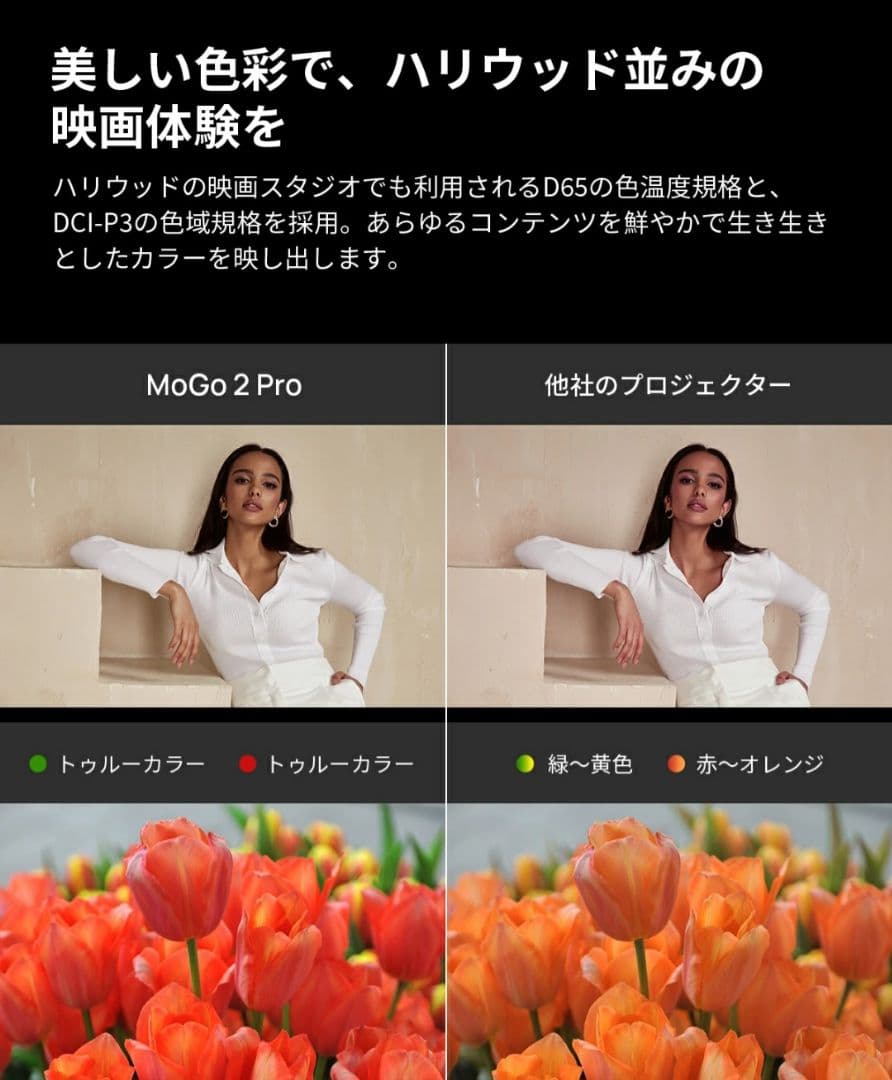【ジャンク品】XGIME MoGo 2 Pro　動作確認済　白点　黒点
