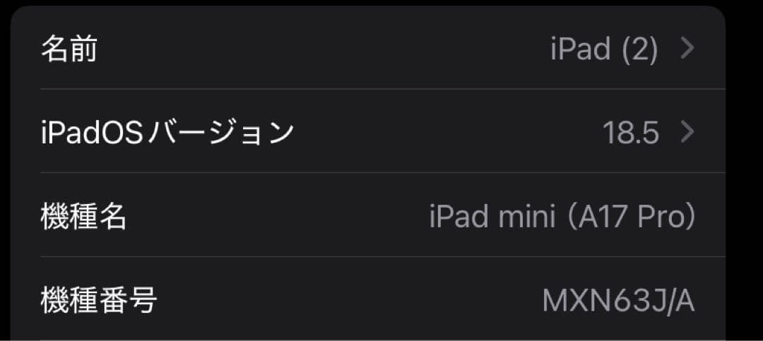 Apple iPad mini7スペースグレー