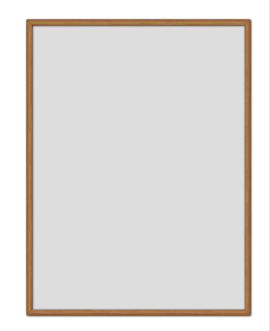 デッドストック正規品Cy Twombly サイトゥオンブリー 特徴額装済ポスター