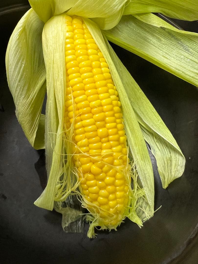 【新品】マイクロ波対策！電子レンジ専用Sサイズ！少量の調理向き⭐︎お惣菜温めにも！