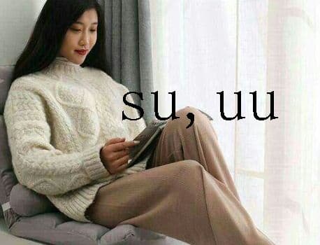 Y背伸びしたソファ畳の背もたれの椅子一人分の小さなソファの折り畳みVy