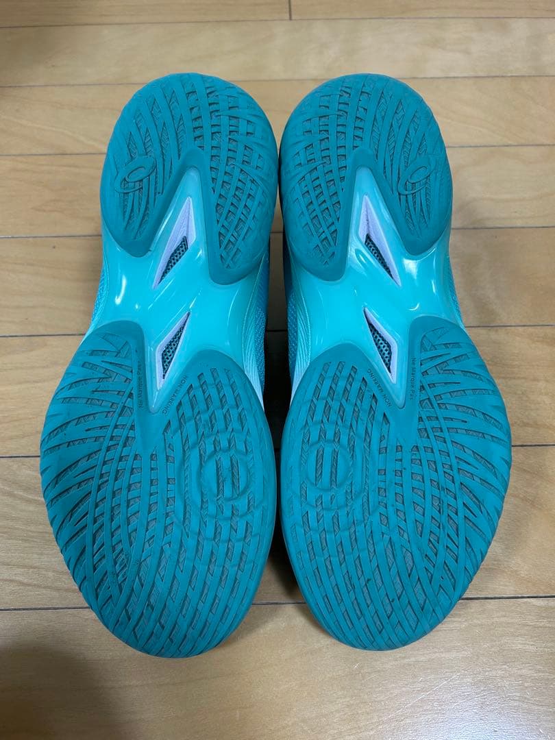 限定カラー ASICS GLIDE NOVA ff3 29㎝