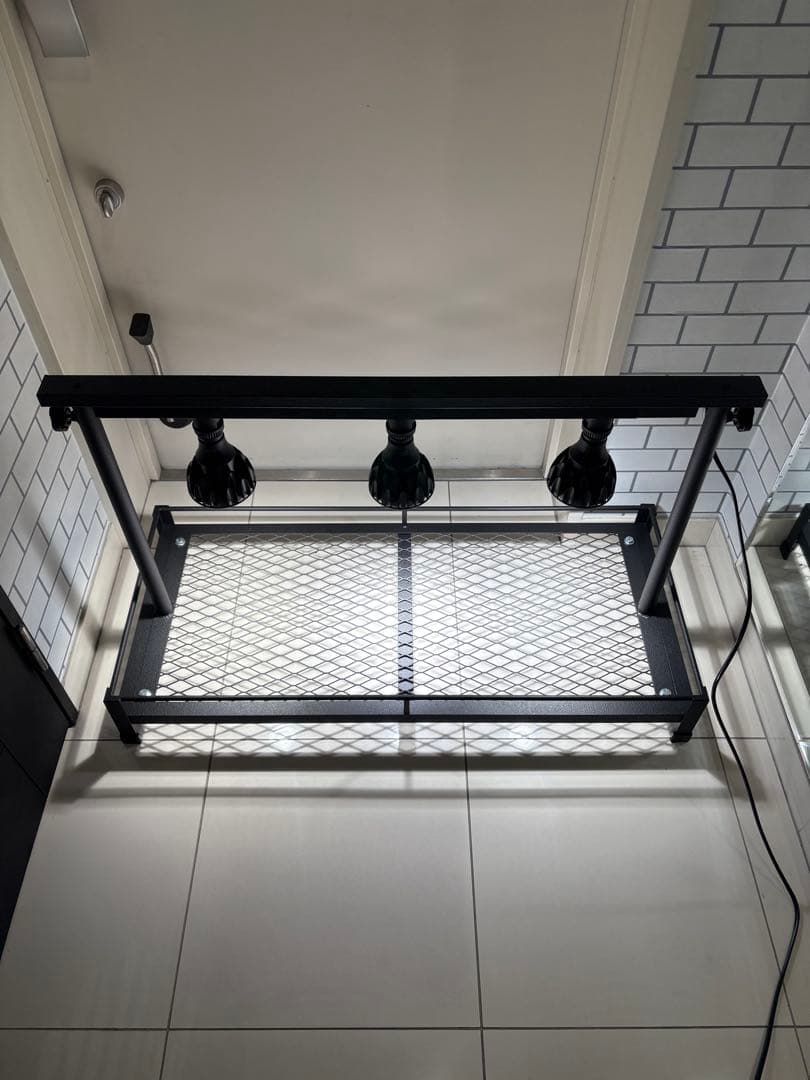 ②ミニ植物棚　卓上植物棚　アガベ　シーザー　ハデス　パキプス　塊根　グラキリス