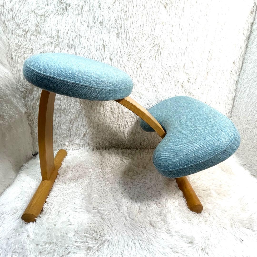 Rybo (サカモトハウス) リボ社 バランスイージー 姿勢矯正チェア