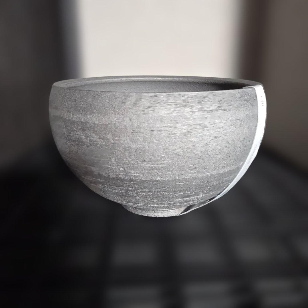 限定50個 三州みやび鉢 パキプス Invisible ink SRL 鶴仙園