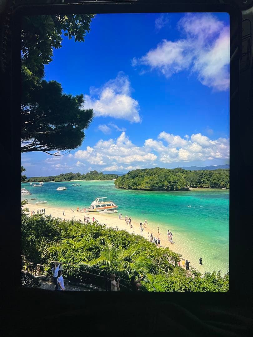 iPad Pro12.9(第6世代) Wi-Fi＋Cellular 256GB